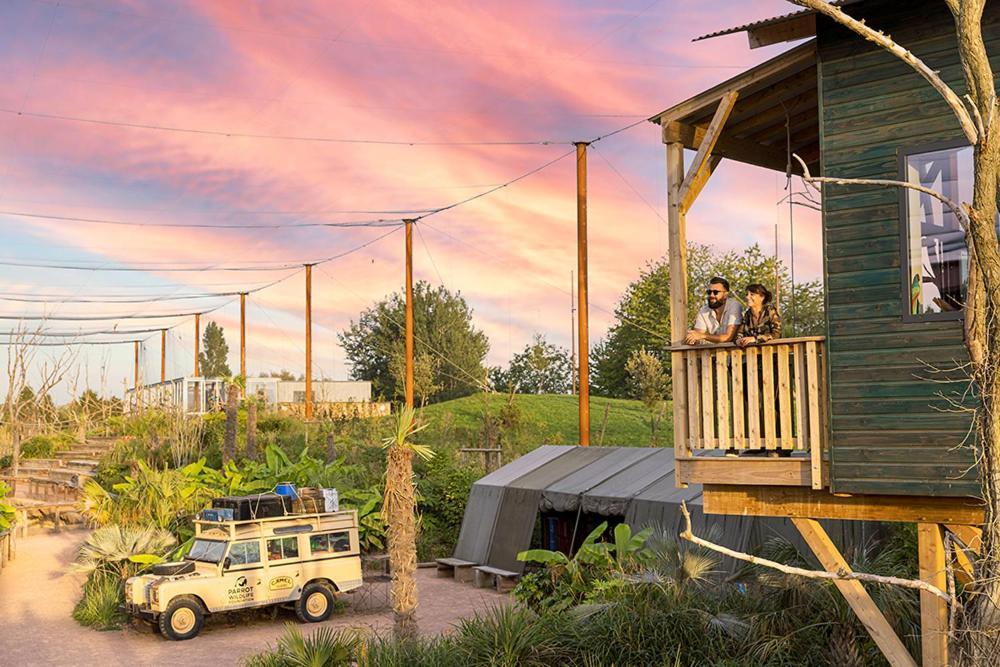 Parrot World - Les Lodges Crecy-la-Chapelle Ngoại thất bức ảnh