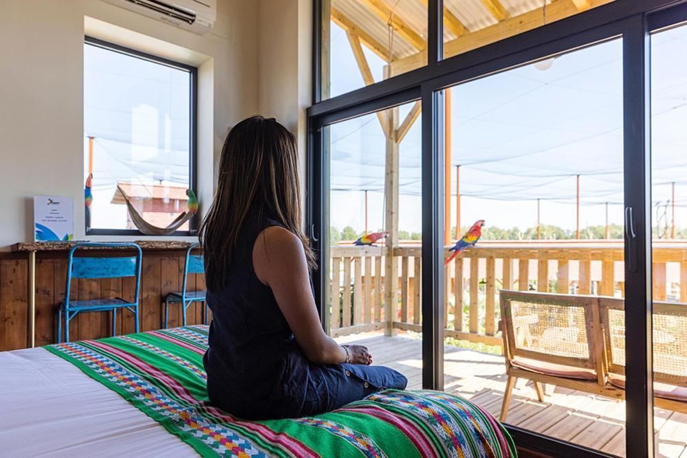 Parrot World - Les Lodges Crecy-la-Chapelle Ngoại thất bức ảnh